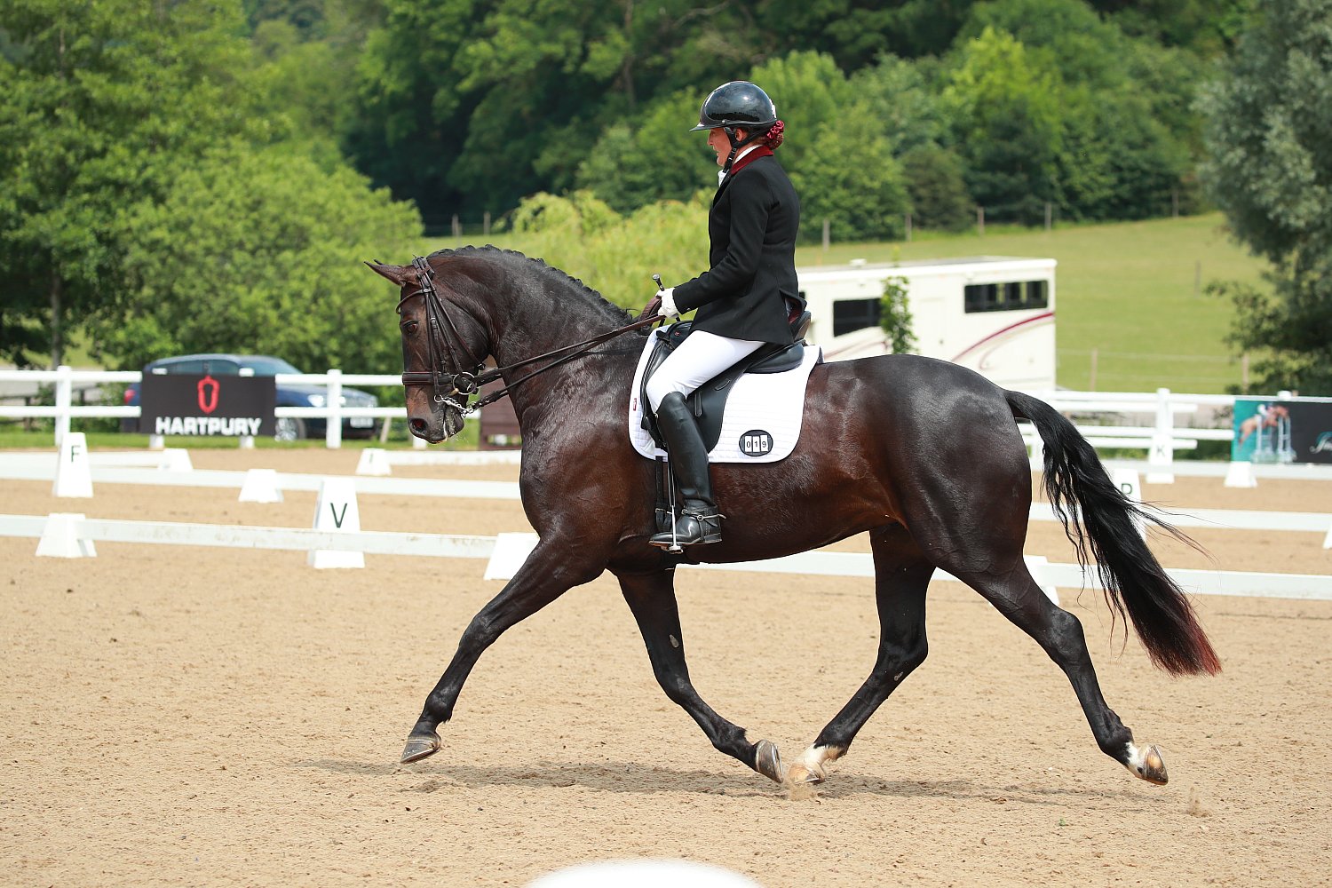 Hartpury BD - 17th June 2023 - Equine Event Galleries - 2023 - Jasmine ...