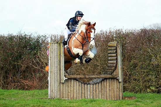 Wickstead Arena Eventing - 14/1/24