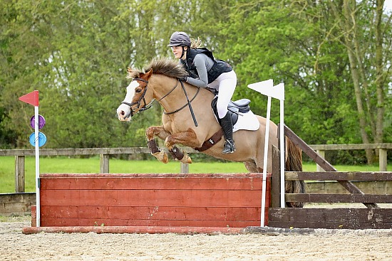 Wickstead Arena Eventing - 7/4/24