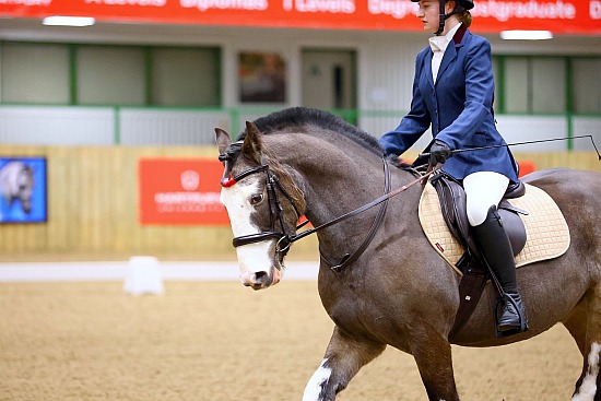 Hartpury Unaff Evening Dressage - 15/11/24