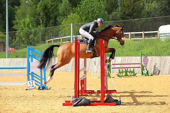 Tedworth C2 British Showjumping - 5/5/25
