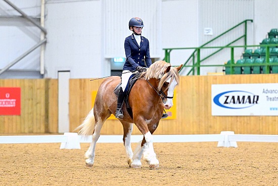 Hartpury Unaff Dressage - 11/5/25