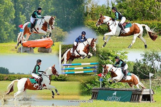 Horse-Events Elmwood ODE - 18/5/25
