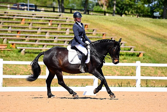 Hartpury Unaffiliated Dressage - 18/5/25