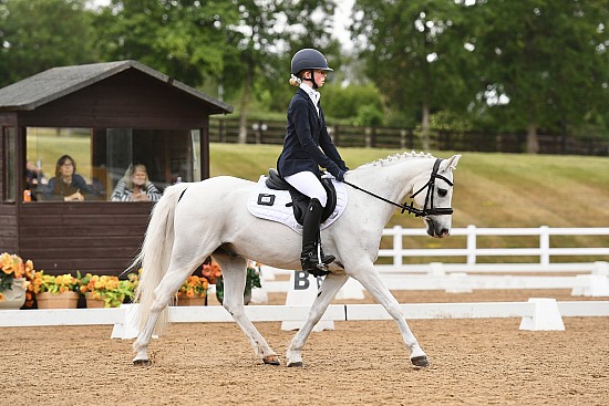 South West Unaffiliated Dressage Championship - 24/5/25