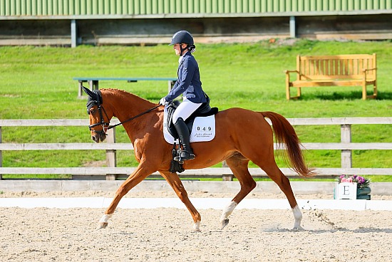 Top Spec RoR Southern Regional Dressage Championships and Unaffiliated Dressage West Wilts - 28/9/25
