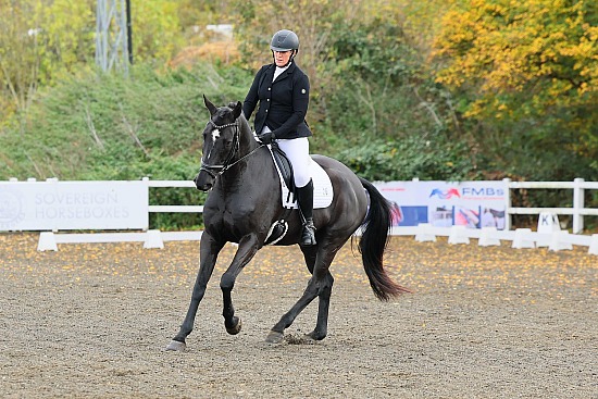 Prestige BD - 31/10/25