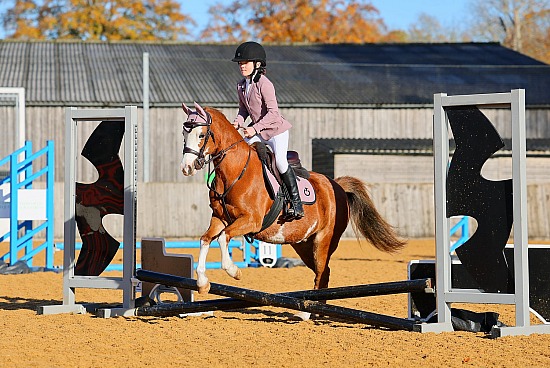 Tedworth Unaffiliated SJ - 2/11/25