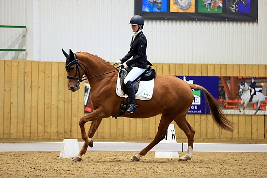 Hartpury Unaff Dressage - 2/11/25