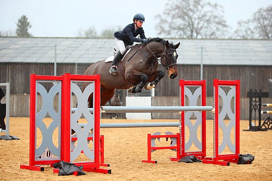 Tedworth C2 BS inc BC 1.25m Qualifier - 1/12/25