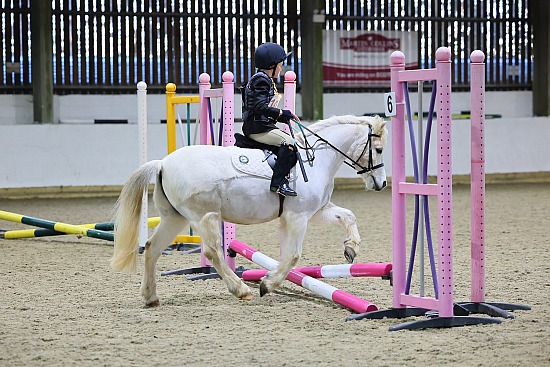 Old Berkeley Hunt Hughenden New Year Open SJ - 3/1/26