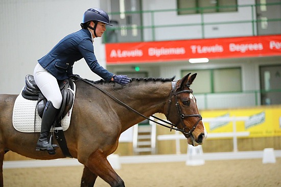 Hartpury Unaffiliated Dressage - 10/1/26