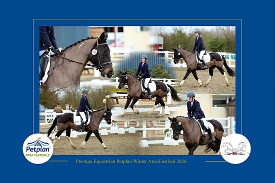 Prestige Equestrian Petplan Winter Area Festival - 20-22 February 2026