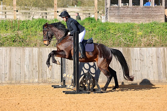 Bourne Valley Riding Club Unaffiliated Show Jumping Tedworth - 14/3/26
