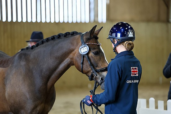Hartpury Spring International Dressage 2026
