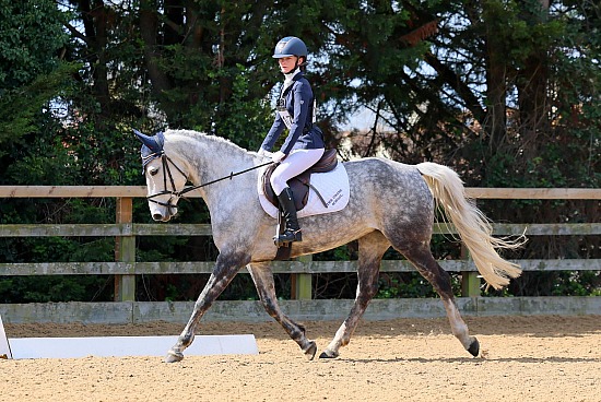 NSEA County Dressage Qualifier Moores Farm - 11/4/26