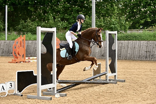 Tedworth Unaffiliated SJ - 3/5/26