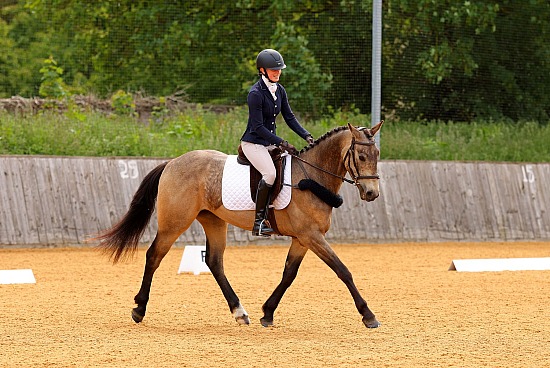 Tedworth Unaffiliated Dressage - 17/5/26