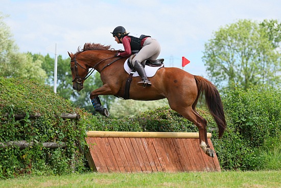 Horse-Events Dauntsey ODE - 28/6/26