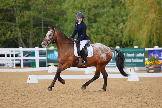 BD Para Championships Hartpury - 1st-2nd August 2026