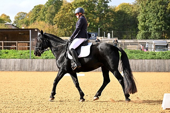 Tedworth Unaffiliated Dressage - 18/10/26